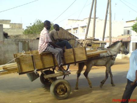 une charette a DAKAR